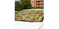 Mini Light Green Glass Snow Blocked Windshield Sunshade