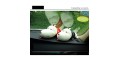 Promotion 1PCS Car Deodorant Purify Lessen Radiation Gars Dog Cartoon Bamboo Charcoal Bag For Car