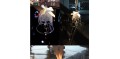 Auto Accessories Wind Chime Car Accessories Crystal Campanula
