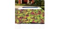 Mini Light Green Glass Snow Blocked Windshield Sunshade